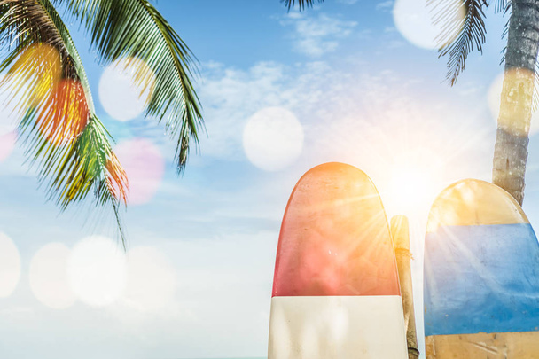 Πολλές ιστιοσανίδες δίπλα από τις καρύδες σε καλοκαιρινή παραλία με φως του ήλιου και μπλε φόντο του ουρανού. - Φωτογραφία, εικόνα