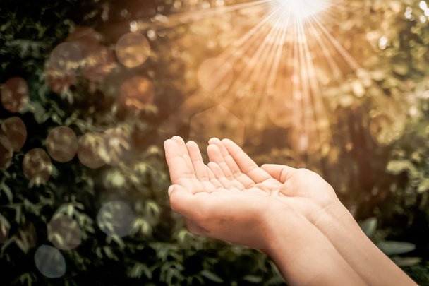 Frauenhände wie beim Gebet vor naturgrünem Hintergrund. - Foto, Bild