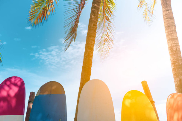 Mnoho surfy vedle kokosových stromů na letní pláži se sluncem a modré nebe pozadí. - Fotografie, Obrázek