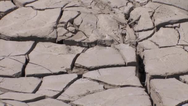 Kuru Baked çamur Ürdün Nehri, İsrail - Video, Çekim