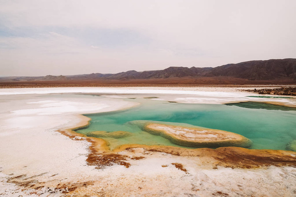 Chile. San Pedro de Atacama. Lagunas Escondidas de Baltinache The turquoise salt lake in the desert - 写真・画像
