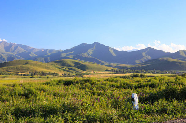 Mountains and green fields. Kyrgyzstan. - Photo, Image