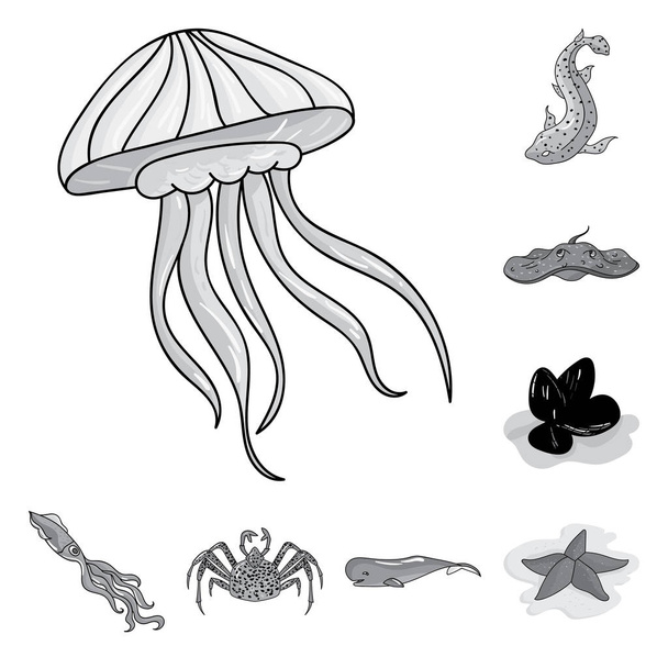 A variety of marine animals monochrome icons in set collection for design. Fish and shellfish vector symbol stock web illustration. - Vector, afbeelding