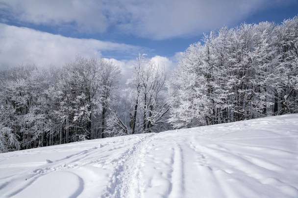 Ustrzyki Gorne, Polonya - 24 Şubat 2018: Kışın dağ iz Tarnica için. Kışın Bieszczady Milli Parkı. Bieszczady kışın. Karla kaplı ağaçlar ve dağlar. - Fotoğraf, Görsel