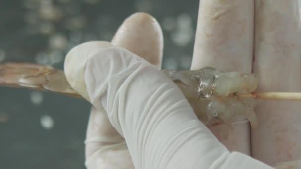 The raw peeled shrimp pierced with the stick - Footage, Video