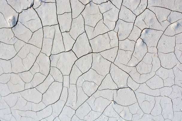 Grijze kleur droge gebarsten modderige aarde als een achtergrondstructuur - Foto, afbeelding