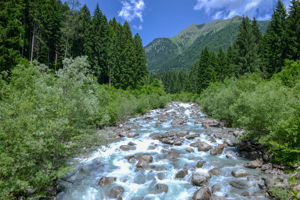 Řeka v lese v přírodním parku Adamello Brenta, Dolomity, Itálie - Fotografie, Obrázek