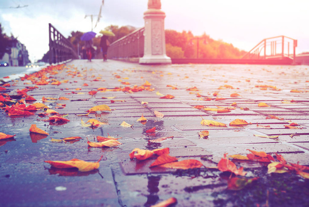 Close-up of wet pavement after rain with yellow fallen leaves and blurred city with people on background with sunlight and vintage filter - Fotó, kép