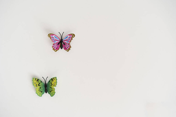 Schmetterlinge an weißer Wand - Foto, Bild