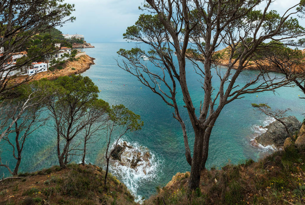 Sea bay summer view through conifer trees. Costa Brava, Catalonia, Spain. - Fotografie, Obrázek