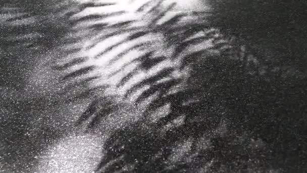 Hermosa luz abstracta en movimiento y sombra de hojas de árboles en la superficie del suelo de hormigón asfáltico
 - Metraje, vídeo