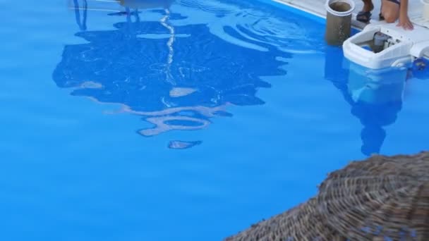Service and maintenance of the pool. Filter replacement. Cleaning the pool. - Footage, Video