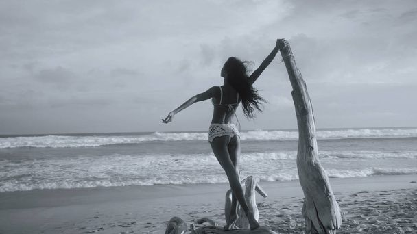 Widok piękny szczęśliwy dziewczyna stojąc na zwalone drzewo, na piaszczystej plaży w niesamowity zachód słońca - czarno-białe zdjęcie z tyłu - Zdjęcie, obraz