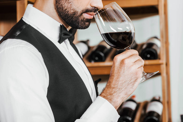 ソムリエのワイン店でグラスからワインの香りを調べるのクロップ撮影 - 写真・画像