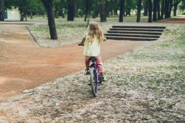takaisin näkymä lapsi ratsastus polkupyörällä kesäpuistossa
 - Valokuva, kuva