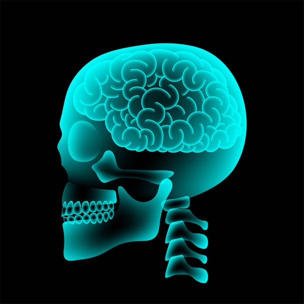 Explosive vector of a side view skull with brains and green liquid