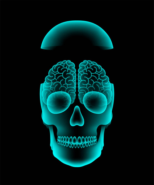 頭蓋骨脳コンセプトのデザインとオープン x 線、正面図分離コピー スペースで、暗い背景の輝き - ベクター画像