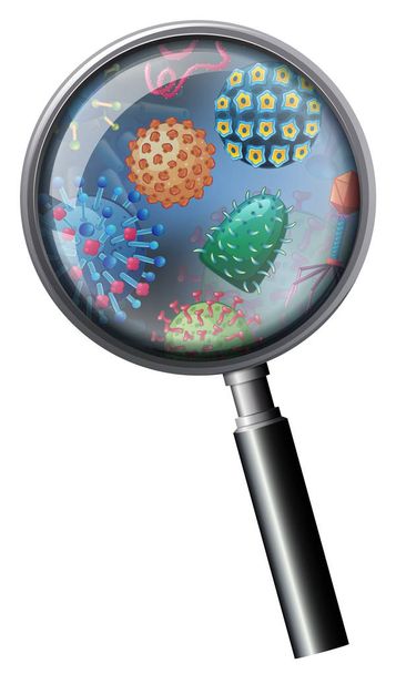 A Closeup Bacteria on Magnifying Glass illustration - Vector, Image