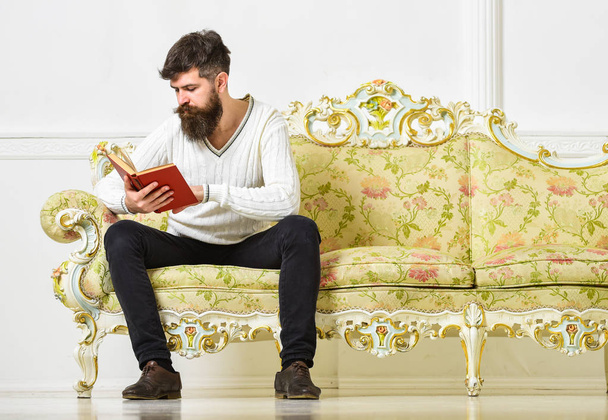 Self improvement concept. Macho on concentrated face reading book. Guy reading book with attention. Man with beard and mustache sits on baroque style sofa, holds book, white wall background - Foto, immagini
