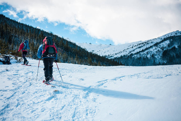 Kar ayakkabılarını iki dağcı dağda karşı çam ağaçları, kışın iki adam sırt çantaları ile tırmanma vardır. Bir dağcı trekking sopa ile kar üzerinden yürür. Kış tırmanışı. - Fotoğraf, Görsel