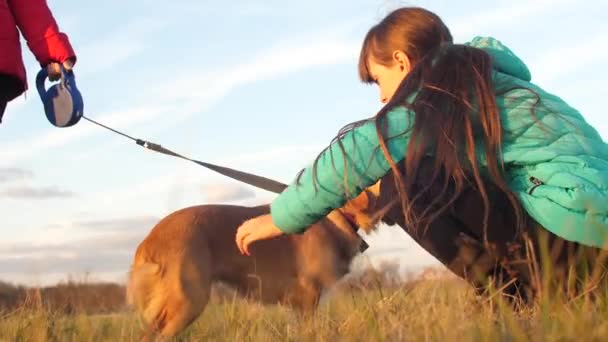 Adolescente chica es acariciar mascota perro caminando en parque
 - Metraje, vídeo