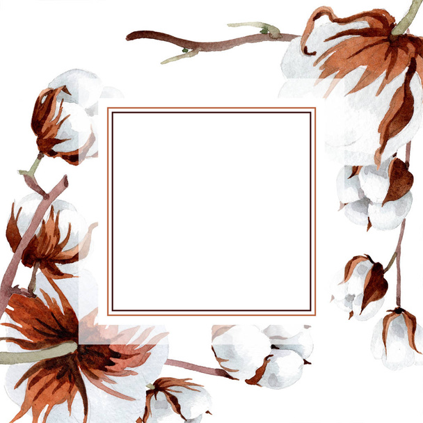Soft white cotton. Floral botanical flower. Frame border ornament square. Aquarelle wildflower for background, texture, wrapper pattern, frame or border. - Photo, Image