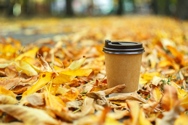 disposable coffee cup on yellow leaves - Foto, afbeelding