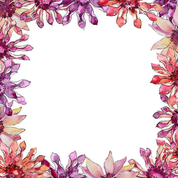 Red and purple african daisy wildflower. Floral botanical flower. Frame border ornament square. Aquarelle wildflower for background, texture, wrapper pattern, frame or border. - Foto, imagen