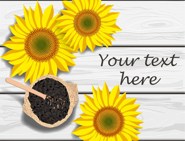 Ilustración vectorial de flores de girasol y semillas sobre mesa de madera gris, lugar para texto
 - Vector, Imagen