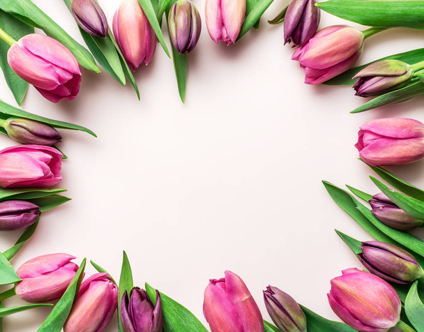 Delicate pink tulips on lightpink background.  Top view. - Fotoğraf, Görsel
