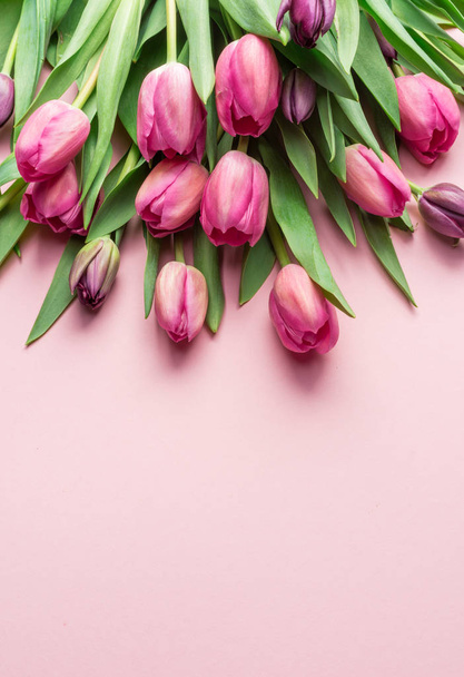 Delicate pink tulips on lightpink background.  Top view. - Photo, Image