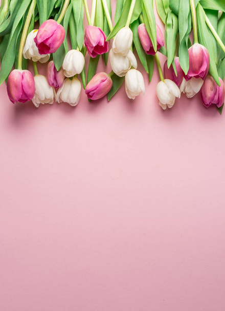 White and pink tulips on lightpink background. Top view. - Fotoğraf, Görsel