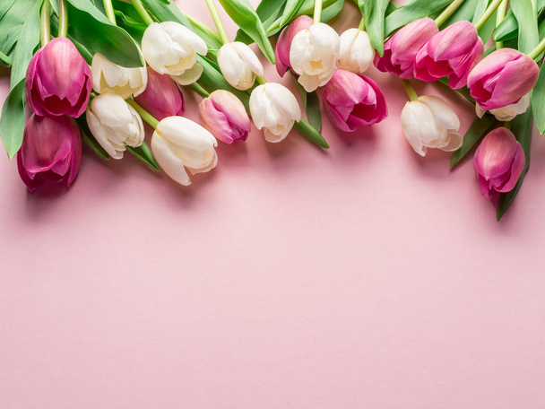 White and pink tulips on lightpink background. Top view. - Foto, afbeelding