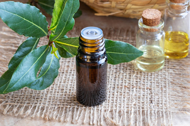 Una botella de aceite esencial con hojas de laurel frescas sobre fondo blanco
 - Foto, Imagen