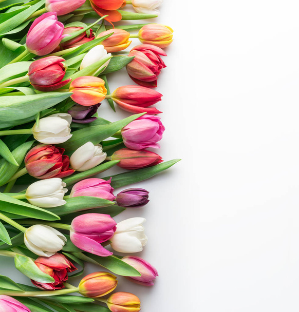 Colorido ramo de tulipanes dispuestos como un marco sobre fondo blanco. Vista superior
. - Foto, Imagen