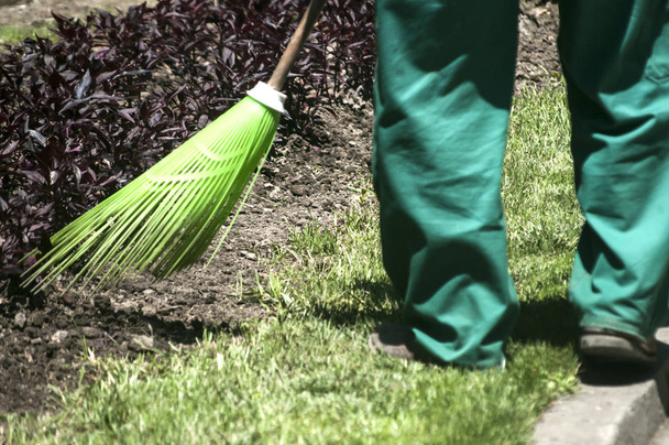 Работник техобслуживания в саду парка очищает клумбы пластиковой метлой в саду
 - Фото, изображение