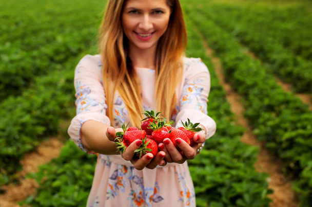 Woman in spring dress, holding hands full of freshly picked strawberries, with strawberry orchard field in background - Photo, image