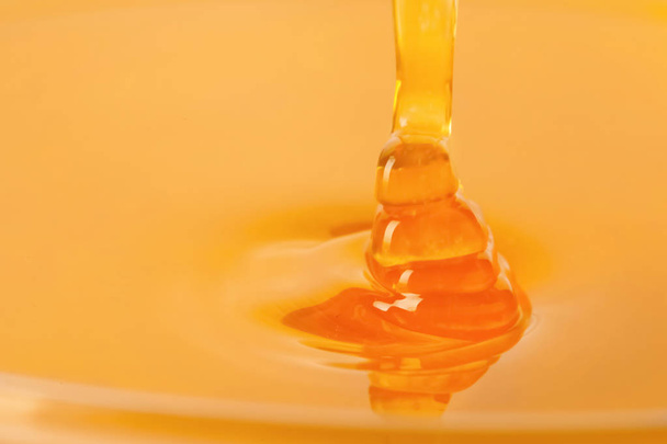 Pouring fresh sweet honey, closeup - 写真・画像