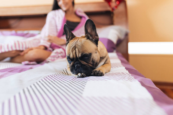 Atractiva joven disfrutando en la cama con su mascota bulldog francés
 - Foto, Imagen