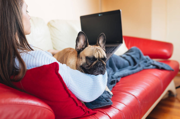 Jovem mulher atraente deitada no sofá com seu animal de estimação bulldog francês e descansando
.  - Foto, Imagem