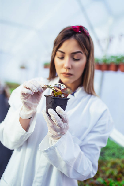 Beautiful young woman working in greenhouse and enjoying in beautiful flowers - Фото, изображение