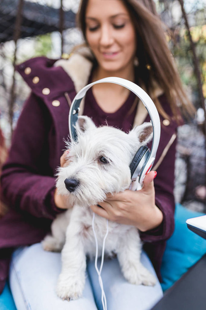 Adorable westie puppy listening to music with it's owner in cafeteria. - Фото, изображение