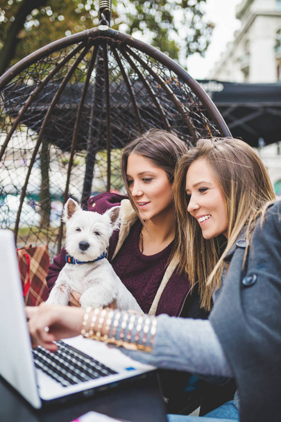 Nuoret naiset nauttivat kahvilassa ihastuttavan West Highland White Terrier pennun kanssa. Valikoiva keskittyä brunette nainen
 - Valokuva, kuva