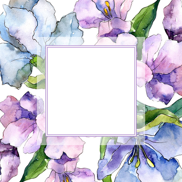 Purple and blue alstroemeria flowers. Frame border ornament square. Aquarelle wildflower for background, texture, wrapper pattern, frame or border. - Фото, изображение