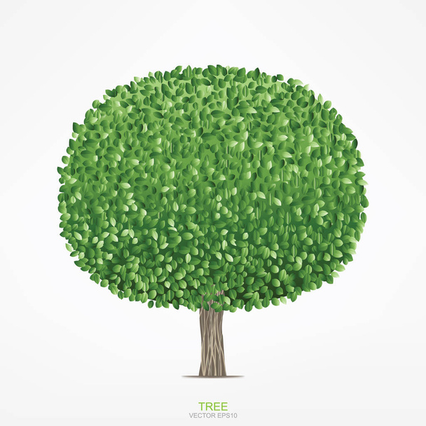 Runde grüner Baum. Geometrie Form der Zierpflanzen Baum auf weißem Hintergrund. Vektorillustration. - Vektor, Bild