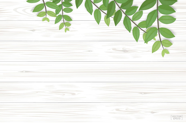 木の板パターンと自然な背景の緑の葉を持つテクスチャー。製品のプレゼンテーションのための抽象的な背景。現実的なベクトル図. - ベクター画像