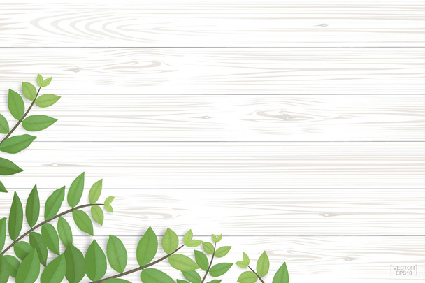 Patrón de tablón de madera y textura con hojas verdes para un fondo natural. Antecedentes abstractos para la presentación del producto. Ilustración vectorial realista
. - Vector, Imagen