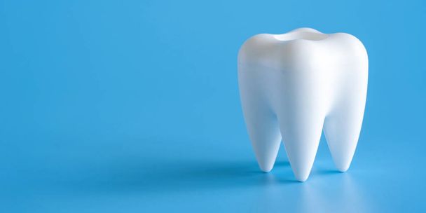 Dental concept healthy equipment  tools dental care Professional  banner - 写真・画像