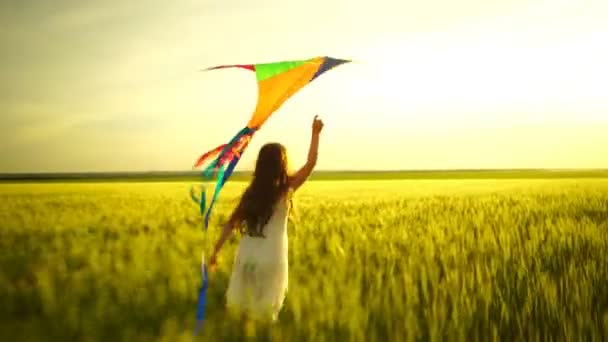 Dziewczyna biegają z latawcem na polu. - Materiał filmowy, wideo