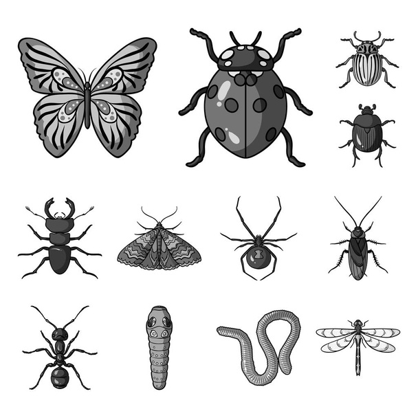 Different kinds of insects monochrome icons in set collection for design. Insect arthropod vector symbol stock web illustration. - Vecteur, image